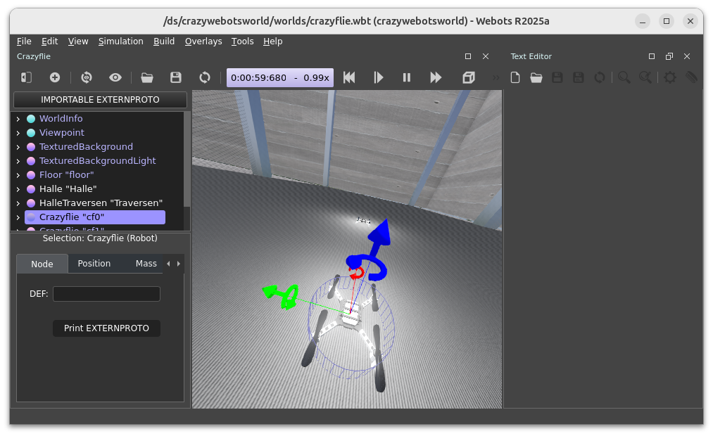 Screenshot of Webots Simulation
